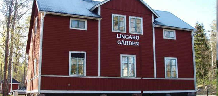 lingaro