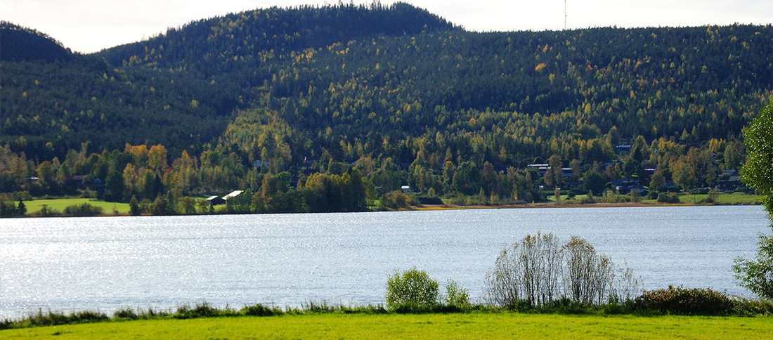 ilsnokitte