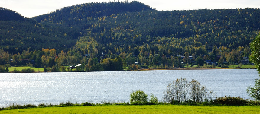 ilsnokitte